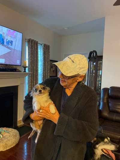 Cody, a Chihuahua puppy from Pawrade