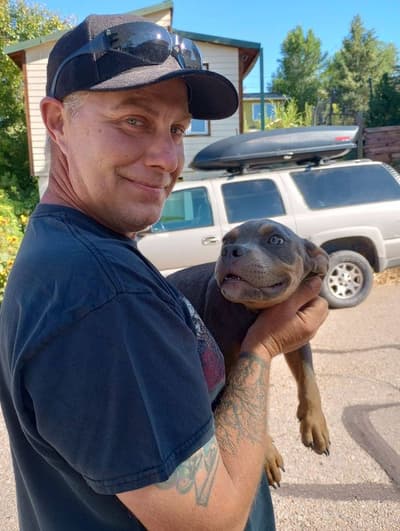 Blake, a American Bully puppy from Pawrade