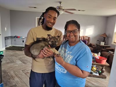 Benjamin, a German Shepherd puppy from Pawrade