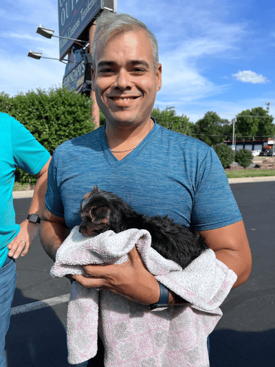 Maverick, a Yorkshire Terrier - Yorkie puppy from Pawrade