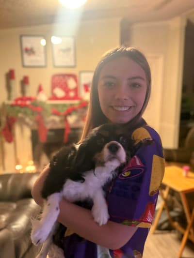 Hannah, a Cavalier King Charles Spaniel puppy from Pawrade
