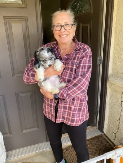 Farah, a Cockapoo puppy from Pawrade