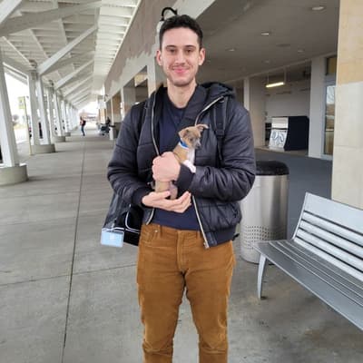 Kendall, a Chihuahua puppy from Pawrade