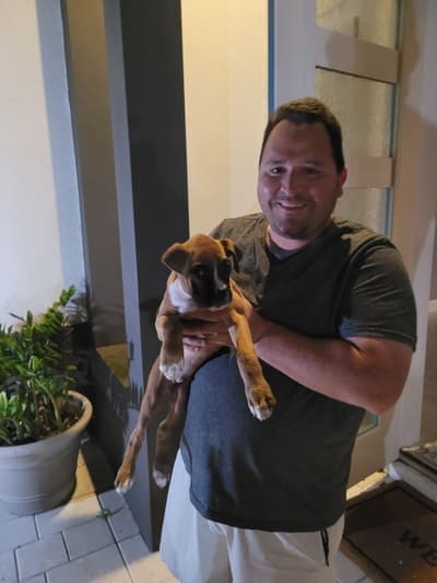 Isaiah, a Boxer puppy from Pawrade