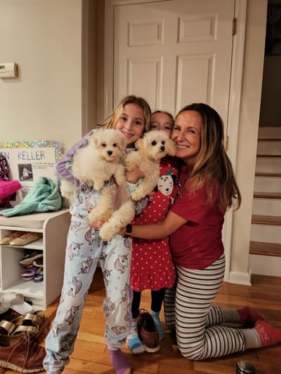 Meadow, a Maltese puppy from Pawrade