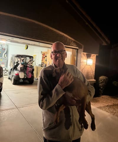 Margo, a Boxer puppy from Pawrade