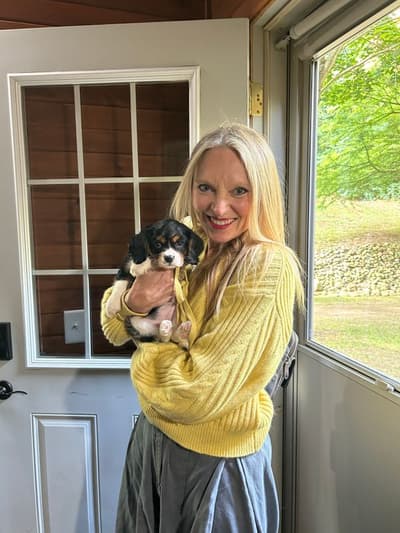 Queen, a Cavalier King Charles Spaniel puppy from Pawrade