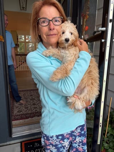Autumn, a Goldendoodle, Mini puppy from Pawrade