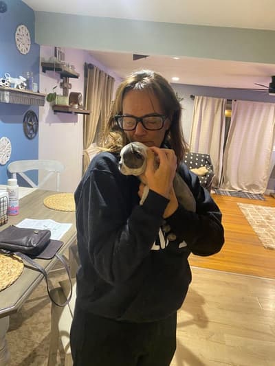 Daphne, a Boston Terrier puppy from Pawrade