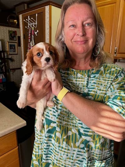 Cameo, a Cavalier King Charles Spaniel puppy from Pawrade