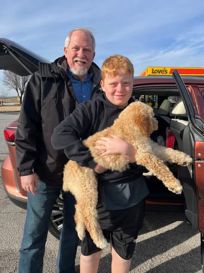 Daise, a Poodle, Standard puppy from Pawrade