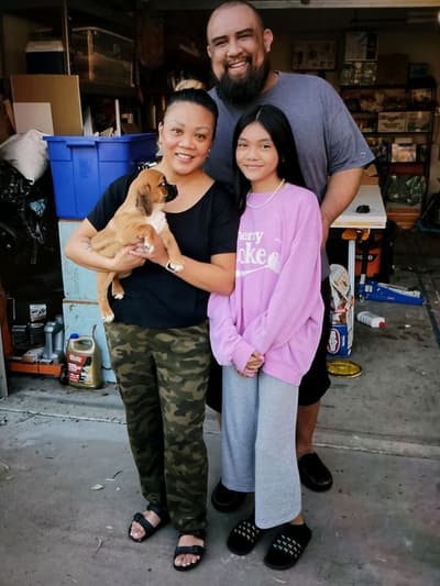 Mandy, a Puggle puppy from Pawrade