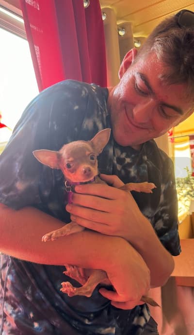Cortez, a Chihuahua puppy from Pawrade
