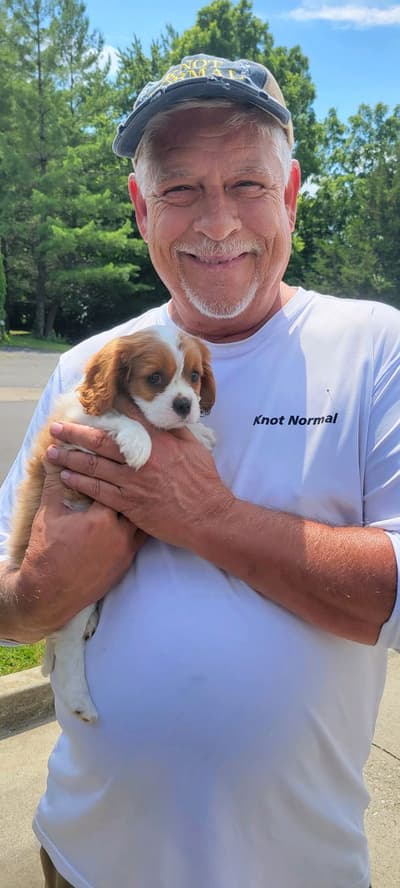 Francesca, a Cavalier King Charles Spaniel puppy from Pawrade