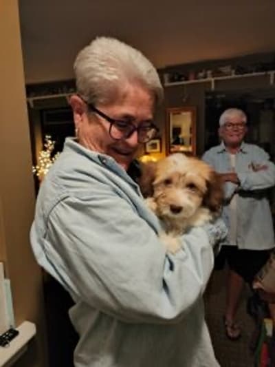 Ollie, a Havanese puppy from Pawrade