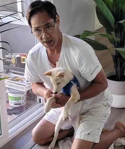 Radar, a Shiba Inu puppy from Pawrade