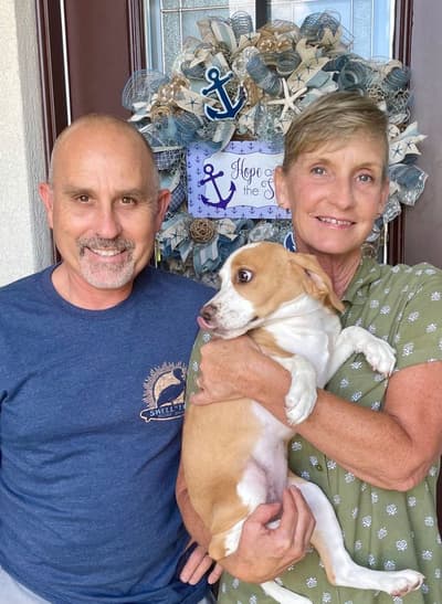Honey, a Beagle puppy from Pawrade