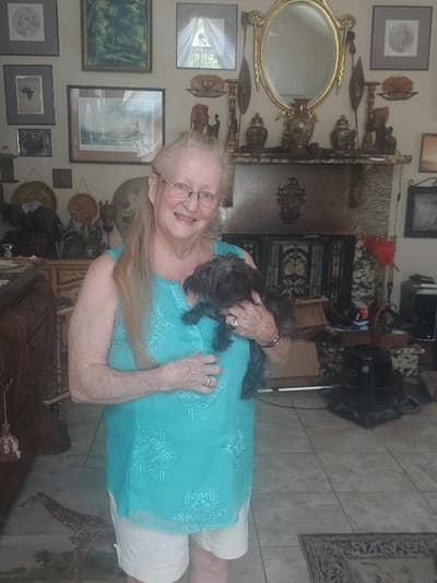 Tinker, a Yorkiepoo - Yorkie Poo puppy from Pawrade