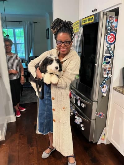 Emmanuel, a Bernedoodle, Mini puppy from Pawrade