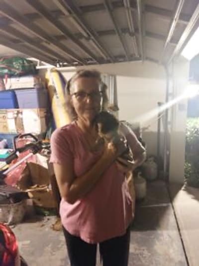 Casper, a Dachshund, Mini puppy from Pawrade