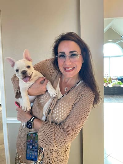 Dylan, a French Bulldog puppy from Pawrade