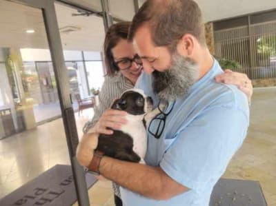 Remi, a Boston Terrier puppy from Pawrade