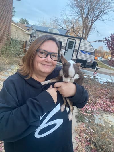 Bridget, a Chihuahua puppy from Pawrade
