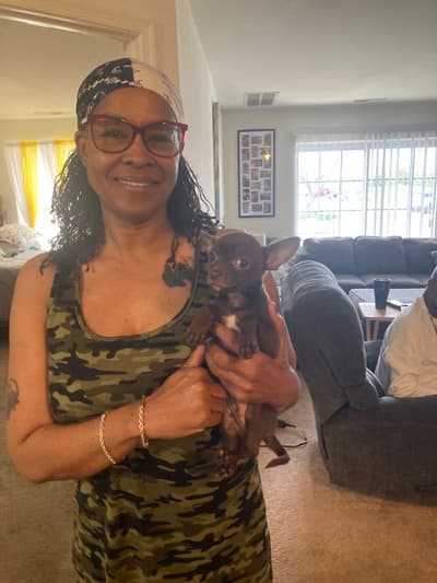 Flint, a Chihuahua puppy from Pawrade