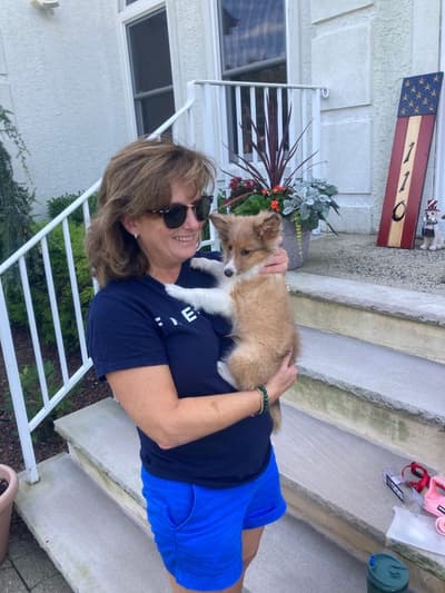 Trudy, a Shetland Sheepdog - Sheltie puppy from Pawrade