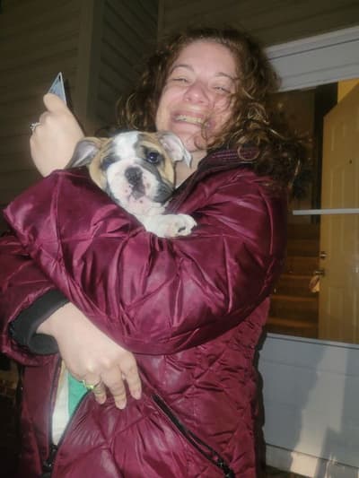 Britta, a English Bulldog puppy from Pawrade