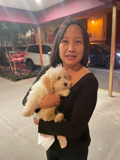 Byron, a Havanese puppy from Pawrade