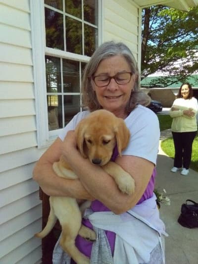 Luna, a Labrador Retriever puppy from Pawrade