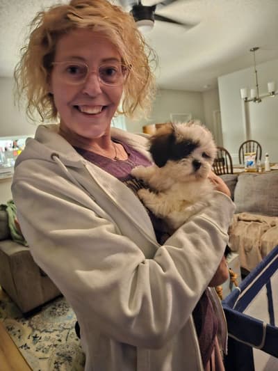 Amari, a Shih Tzu puppy from Pawrade
