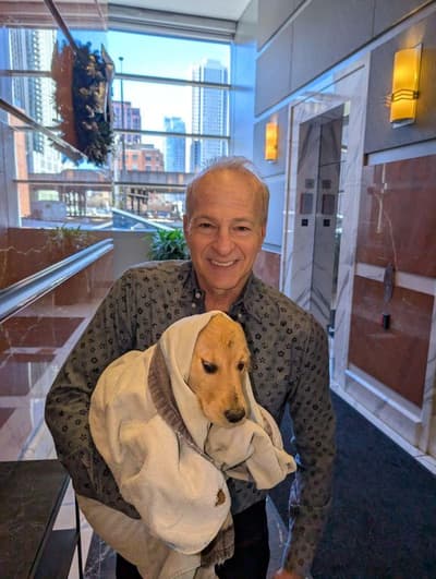 Aura, a Golden Retriever puppy from Pawrade