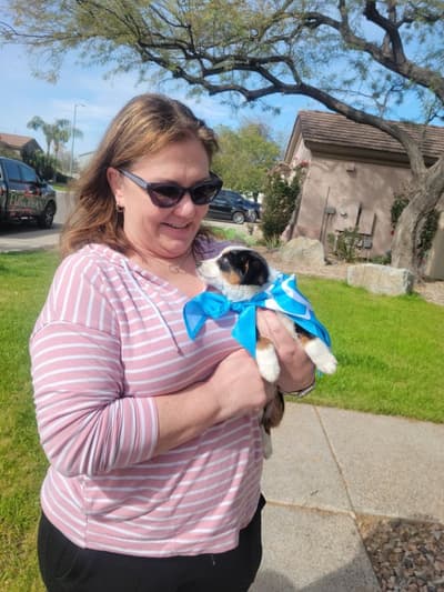 Delilah, a Auggie puppy from Pawrade