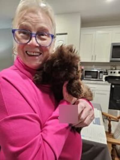 Ace, a Shih Tzu puppy from Pawrade