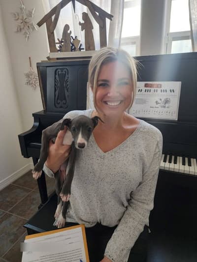 Layla, a Italian Greyhound puppy from Pawrade