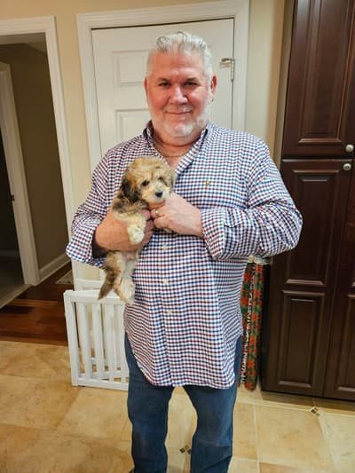 Sycamore, a Malti Poo - Maltipoo puppy from Pawrade