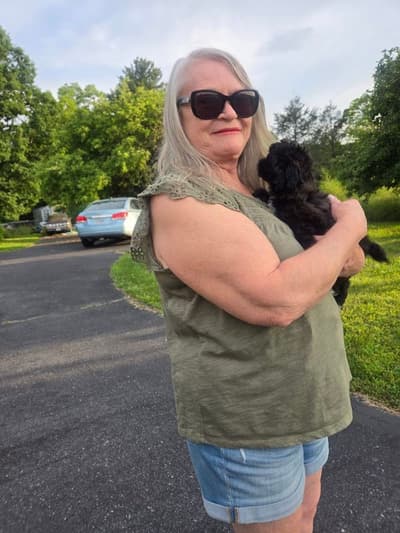 Jules, a Peekapoo puppy from Pawrade