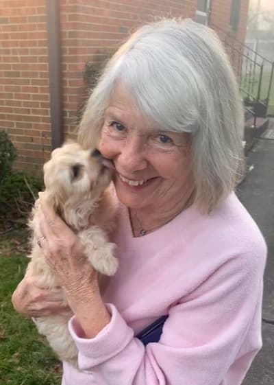 Paisley, a Cavapoo puppy from Pawrade