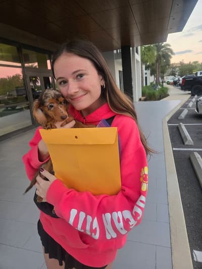 Bristol, a Dachshund, Mini puppy from Pawrade