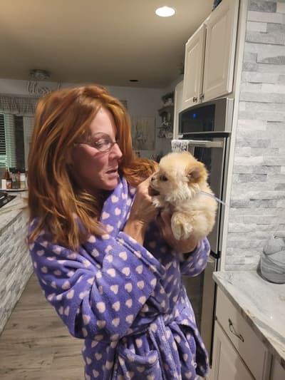 Penelope, a Pomeranian puppy from Pawrade