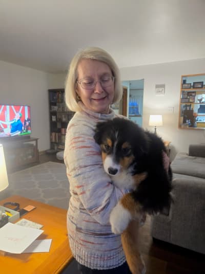 Antares, a Australian Shepherd puppy from Pawrade