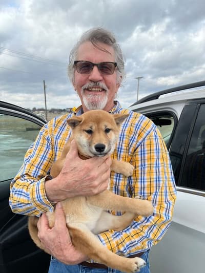 Annie, a Shiba Inu puppy from Pawrade