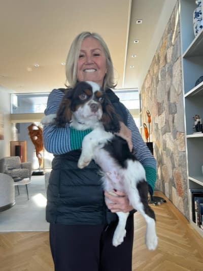 Montague, a Cavalier King Charles Spaniel puppy from Pawrade