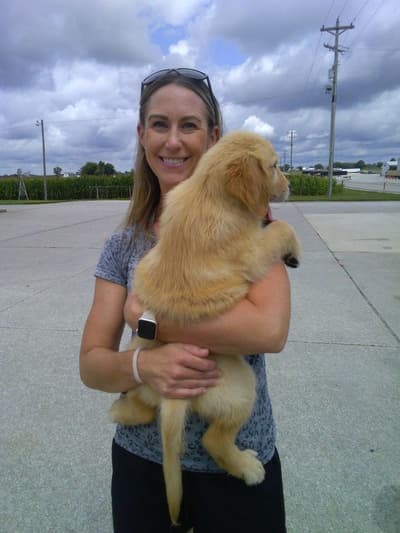 David, a Golden Retriever puppy from Pawrade