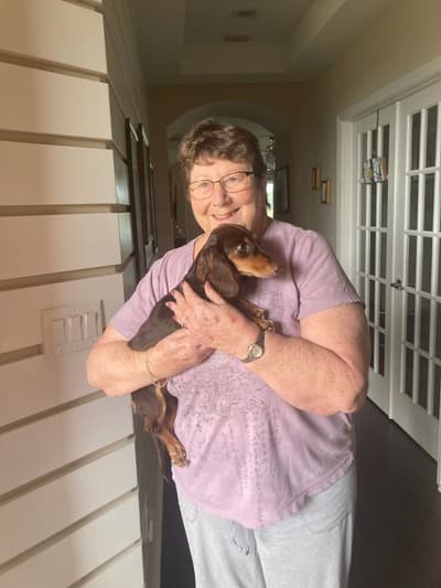 Fantasia, a Dachshund, Mini puppy from Pawrade