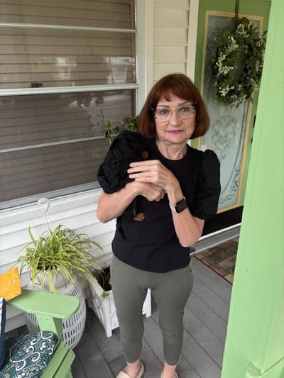 Romeo, a Dachshund, Mini puppy from Pawrade