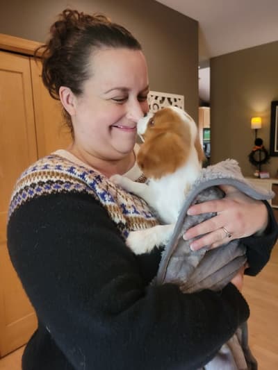 Jade, a Cavalier King Charles Spaniel puppy from Pawrade
