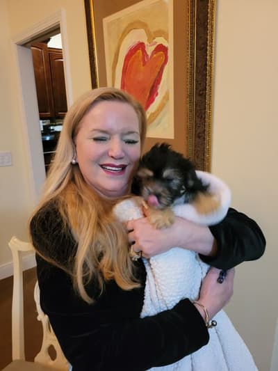 Madeline, a Shih-Poo - Shihpoo puppy from Pawrade